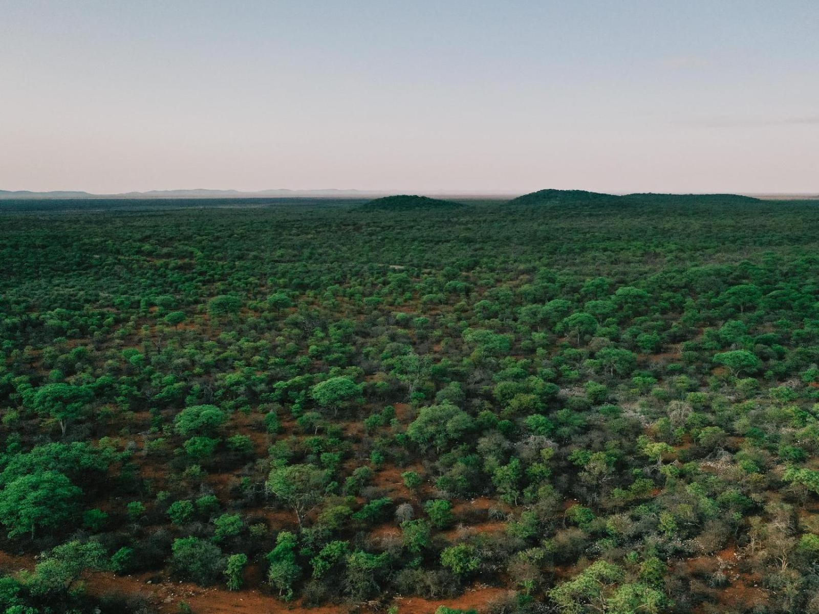 Отель Kifaru Bush Camp Оучо Экстерьер фото